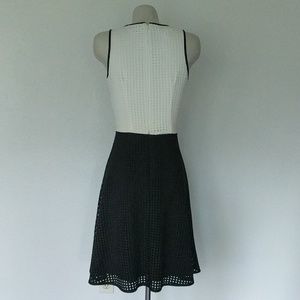 London Times Dresses - Two tone, Lazer cut scuba dress London Times Dresses - Two tone, Lazer cut scuba dress